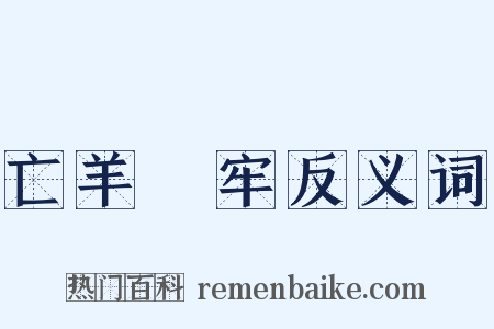 亡羊補牢反义词是什么意思的图片
